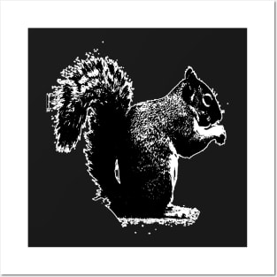 squirrel Posters and Art